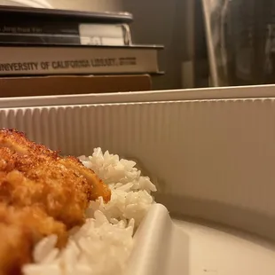The rice covers less than half of the takeout box