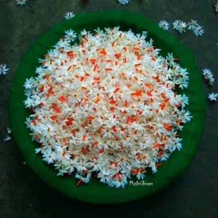 Good food are here if you like spicy