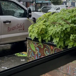 Open window in the rain beautiful