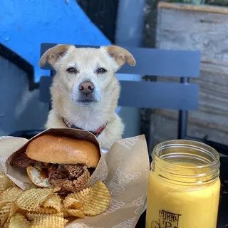 Tandoori Fried Sandwich