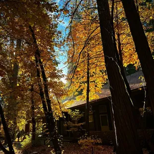 October in Yosemite remains my favorite time of year in the park.