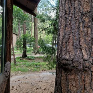 View from our cabin porch, 7B