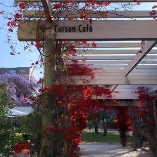 Curson Cafe