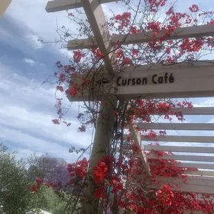 Curson Cafe
