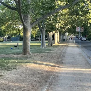 Dirt paved path that surrounds the park