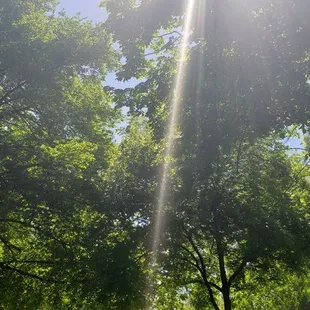 Birds singing, nice breeze sunshine, perfect