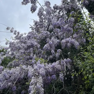 If you need me I'll be standing under here smelling
