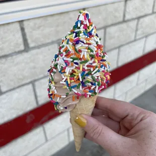 Small twist cone with rainbow sprinkles