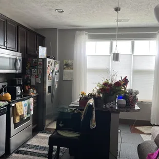 Studio Apt's only window facing North