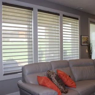 Hunter Douglas Alustra® Powerview 4" Silhouettes