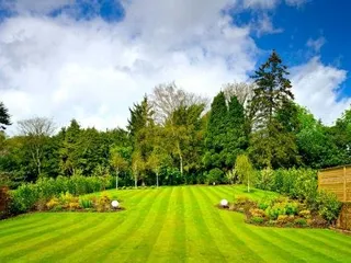 Premier Landscaping