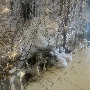 a long line of christmas trees