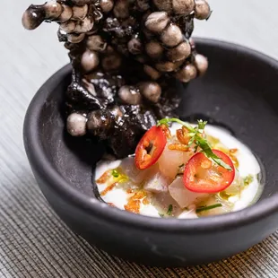 Amuse Bouche: Virginia Striped Bass Ceviche