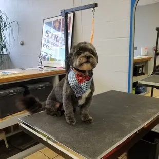 This is Genghis Khan!