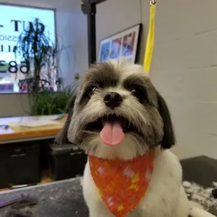 Delilah is looking good!