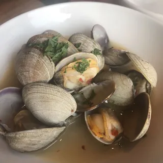 Steamed Fresh Manila Clams