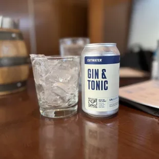 Gin and Tonic in a can