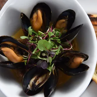 oysters and mussels, food, mussels, oysters, shellfish