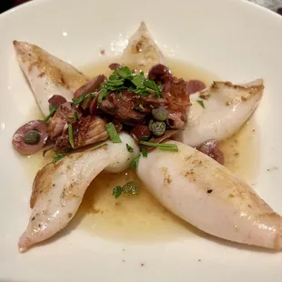 Grilled calamari appetizer