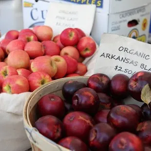 The Albano's have continued to work hard to grow the very best apples, and to partner with local and regional markets, farmer's markets, and