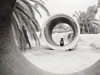 Murray Family Farms - Little Purple Barn