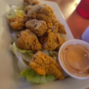 Gator bites