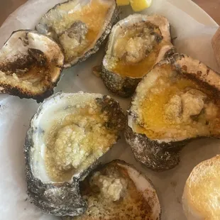 Chargrilled Oysters