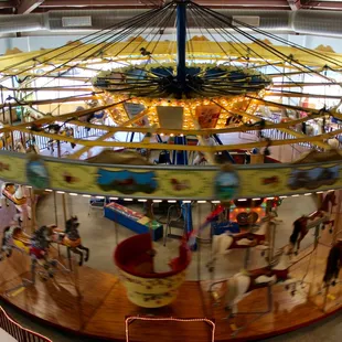 Fastest carousel I've ever ridden on
