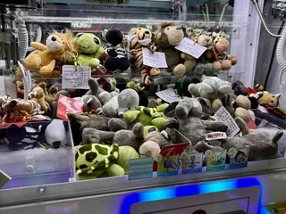 Lucky Ducky Claw Arcade
