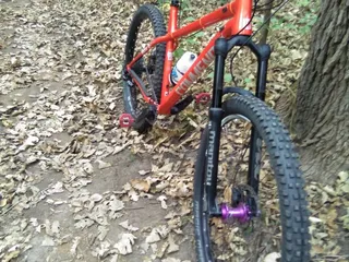 Salty Dog Cyclery