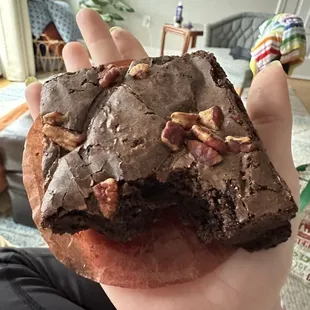 Good sized turtle brownie