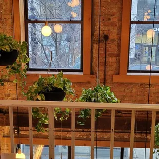 Lots of plants, wood and brick make for a very homey environment