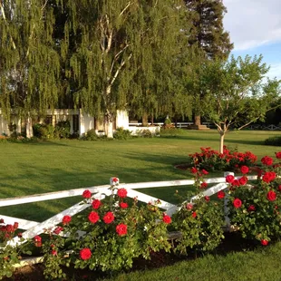 3267 N. Duncan Rd. Linden, CA. North lawn is perfectly suited for large parties, weddings and graduation celebrations.