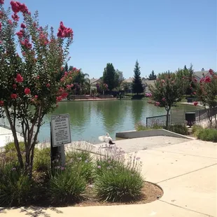 Hidden Lake high end homes, community club house and water feature.