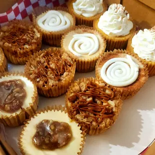 Mini cheesecake Bites Pecan Pie, Apple Pie, Cinnamon Roll, and pumpkin Pie All cheesecake in bite size