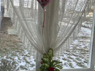 Muddy Creek Flowers & Gifts