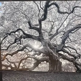 Just decor on the wall.