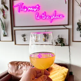 a person holding a glass of wine