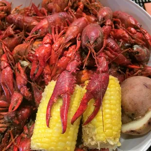 3 lb platter of boiled crawfish .