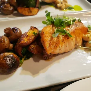 Salmon