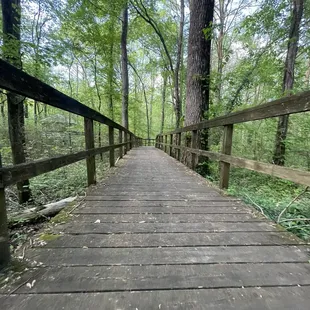 The boardwalk could definitely use some love and care. Several repairs have been made but we were still cautious.