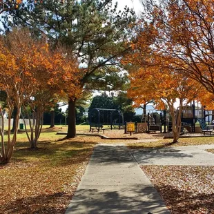 The Park^_*