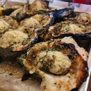 food, shellfish, oysters, oysters and mussels, mussels
