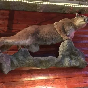 a stuffed bear on a rock