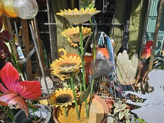 Dutch Flowers