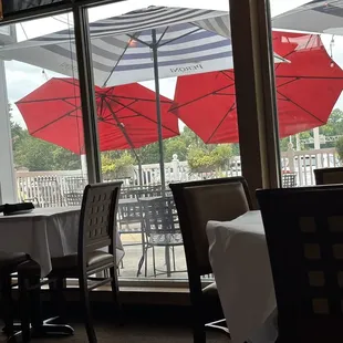 The patio view from my table.