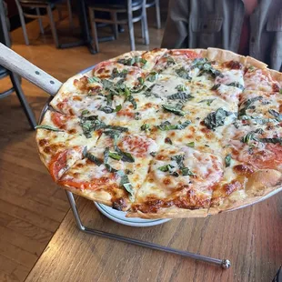 Margherita Pizza