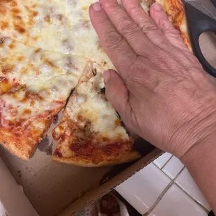 Check out the size of my hand to a &quot;medium&quot; slice of pizza?!?!?