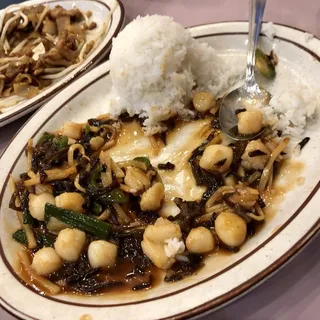 Szechuan Style Scallop Over Rice