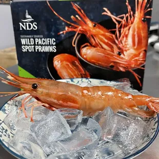 Spot Prawns frozen Sashimi Grade
